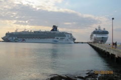 Norwegian Star 4890